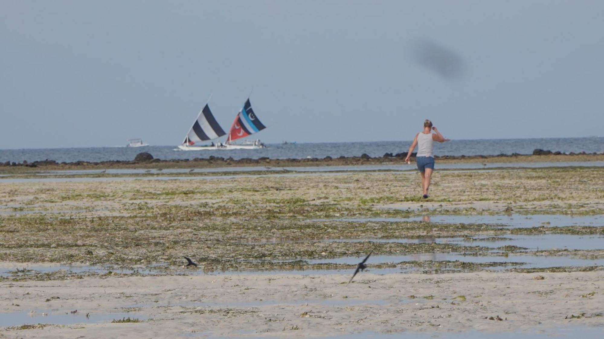 Mola2 Resort Gili Air Exteriér fotografie